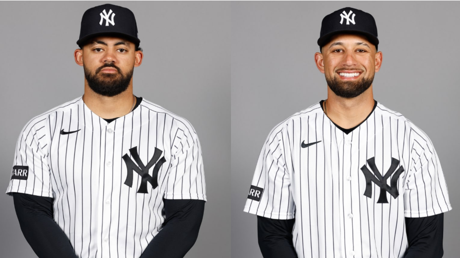 new york yankees vs detroit tigers match player stats